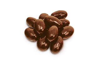 Chocolate Covered Almonds