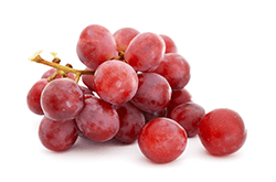 Photo of Grapes
